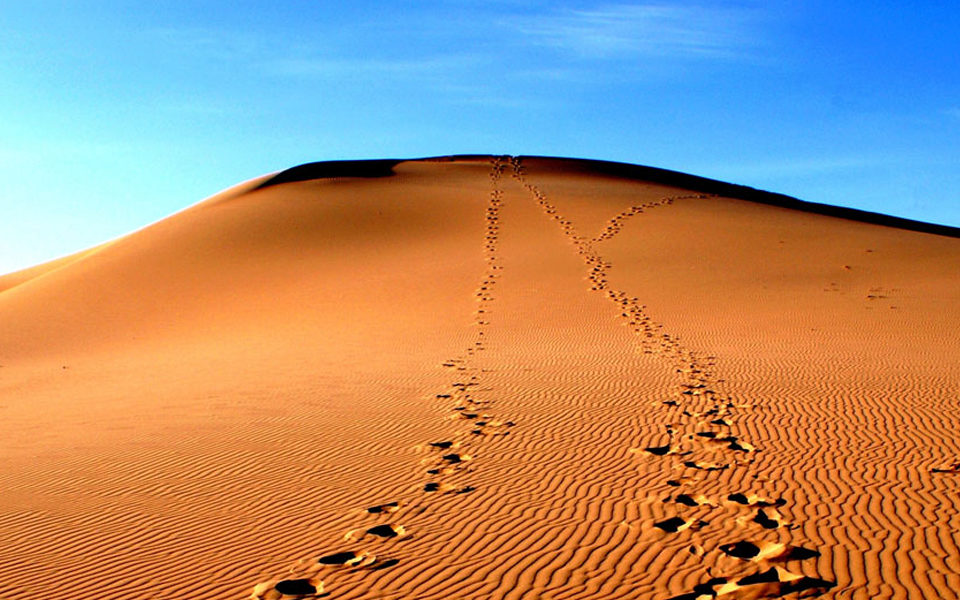 Three Camel Lodge-Gobi Desert