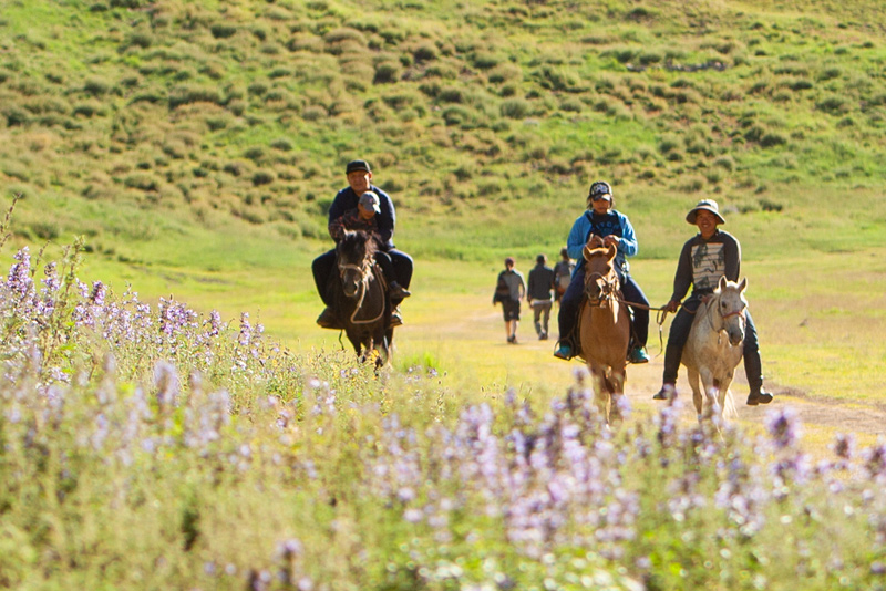Three Camel Lodge Horseback Riding