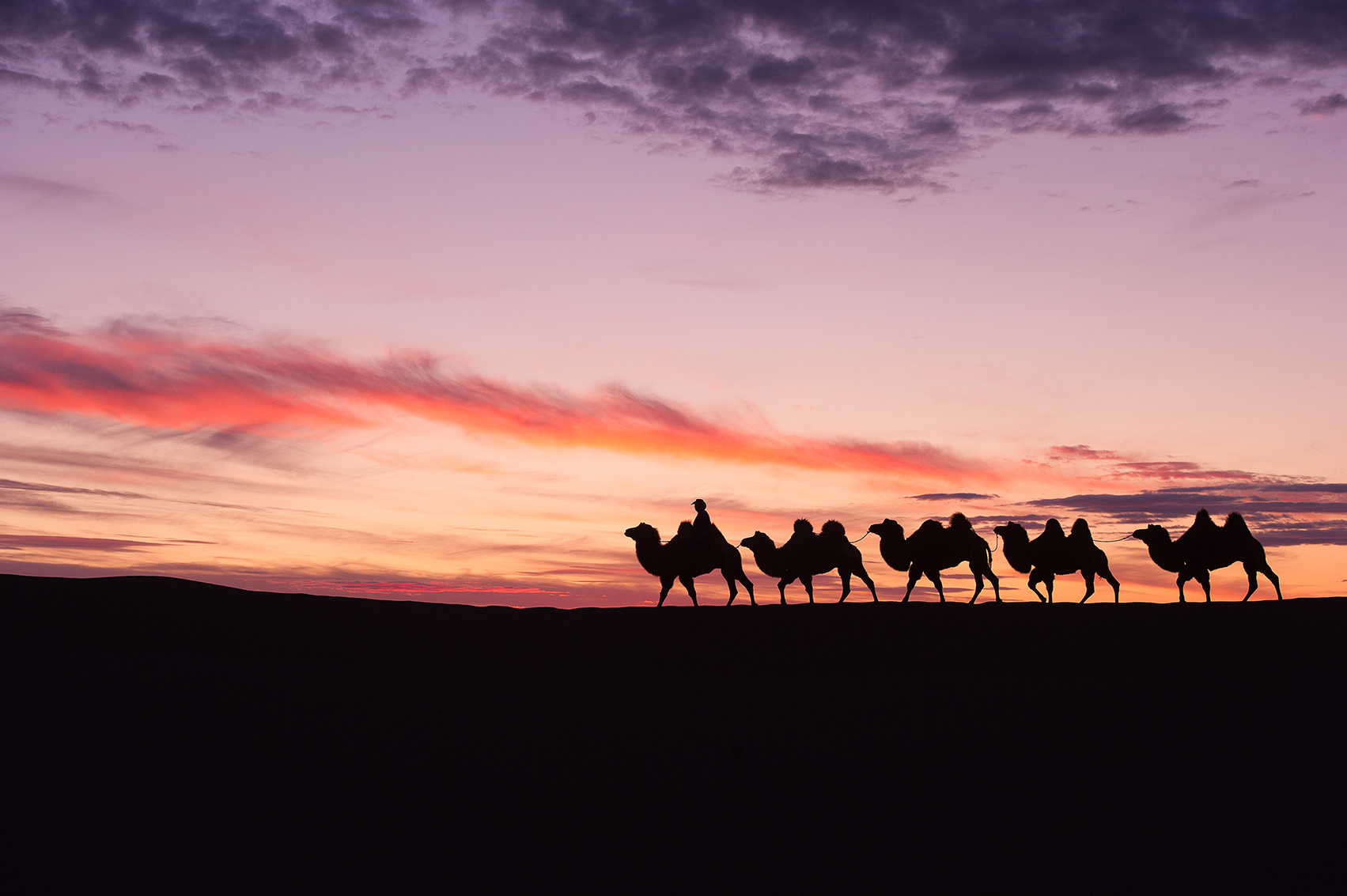 Three Camel Lodge- Mongolia 09