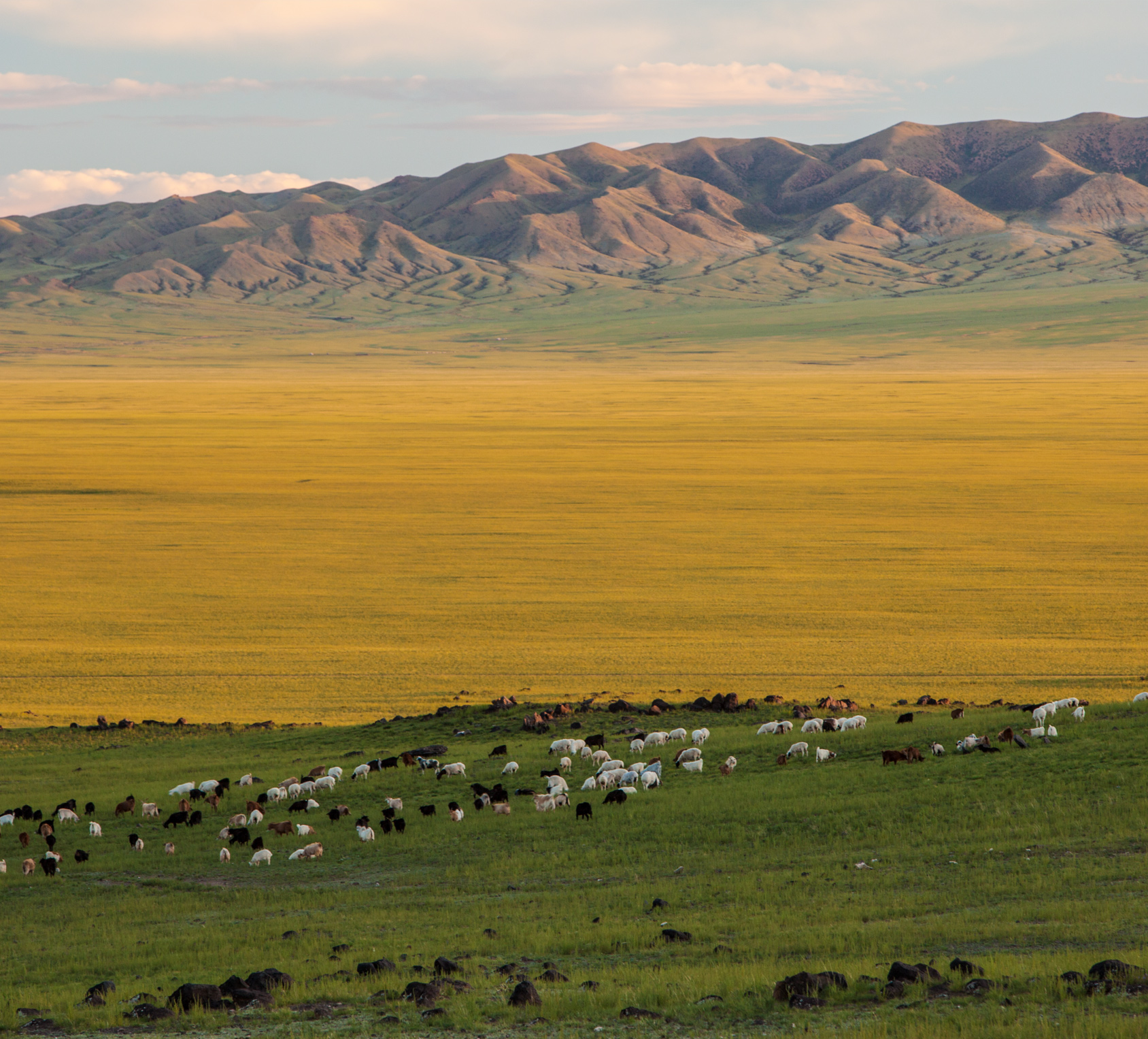 Three Camel Lodge- Mongolia 13