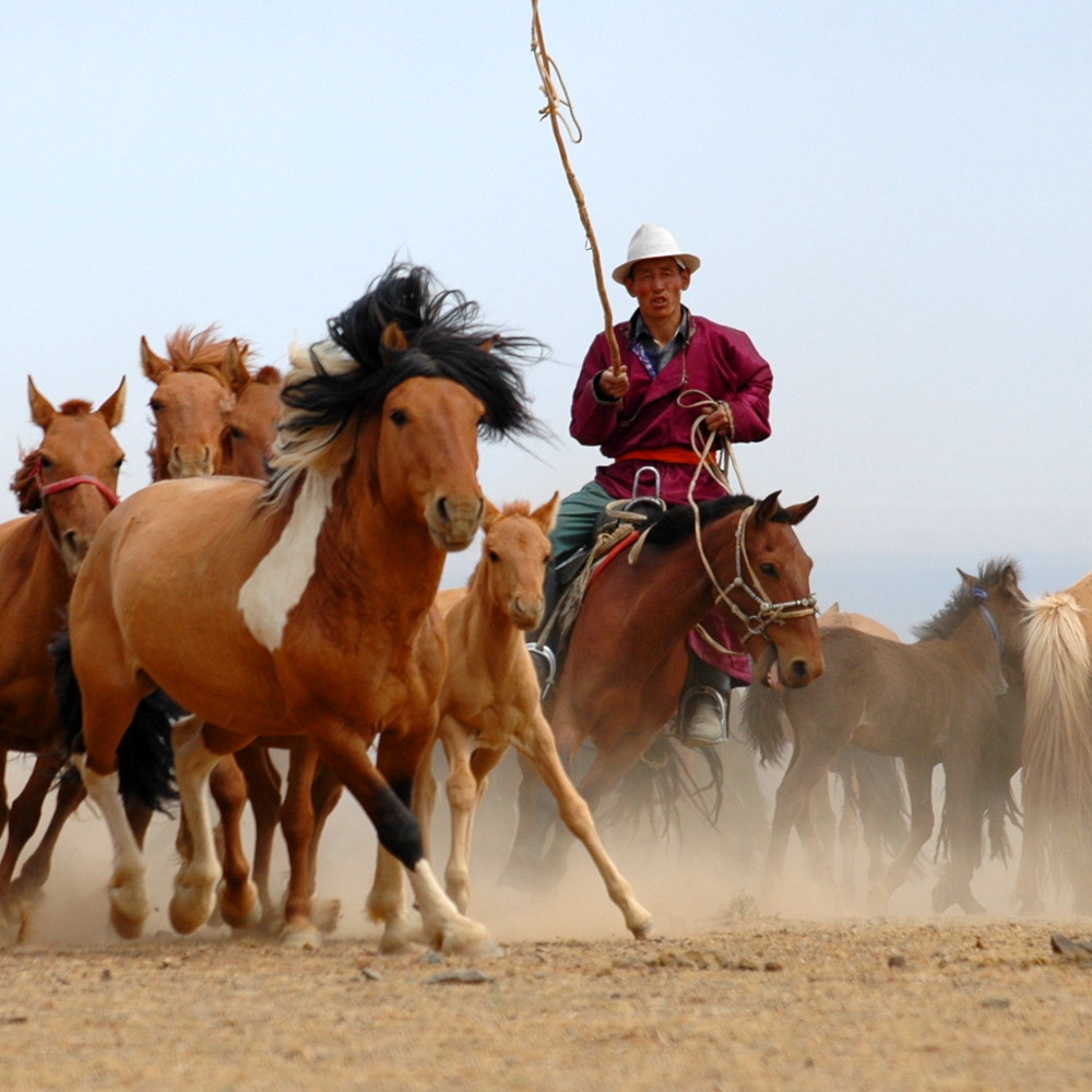 Three Camel Lodge Mongolia-Private 05