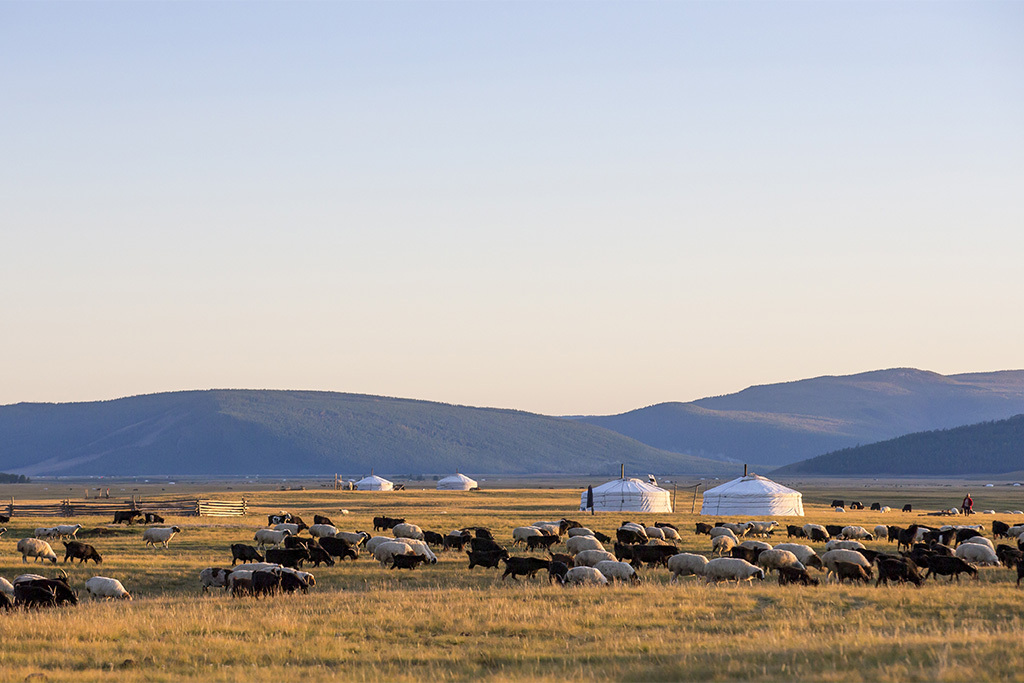 Mongolia Landscape
