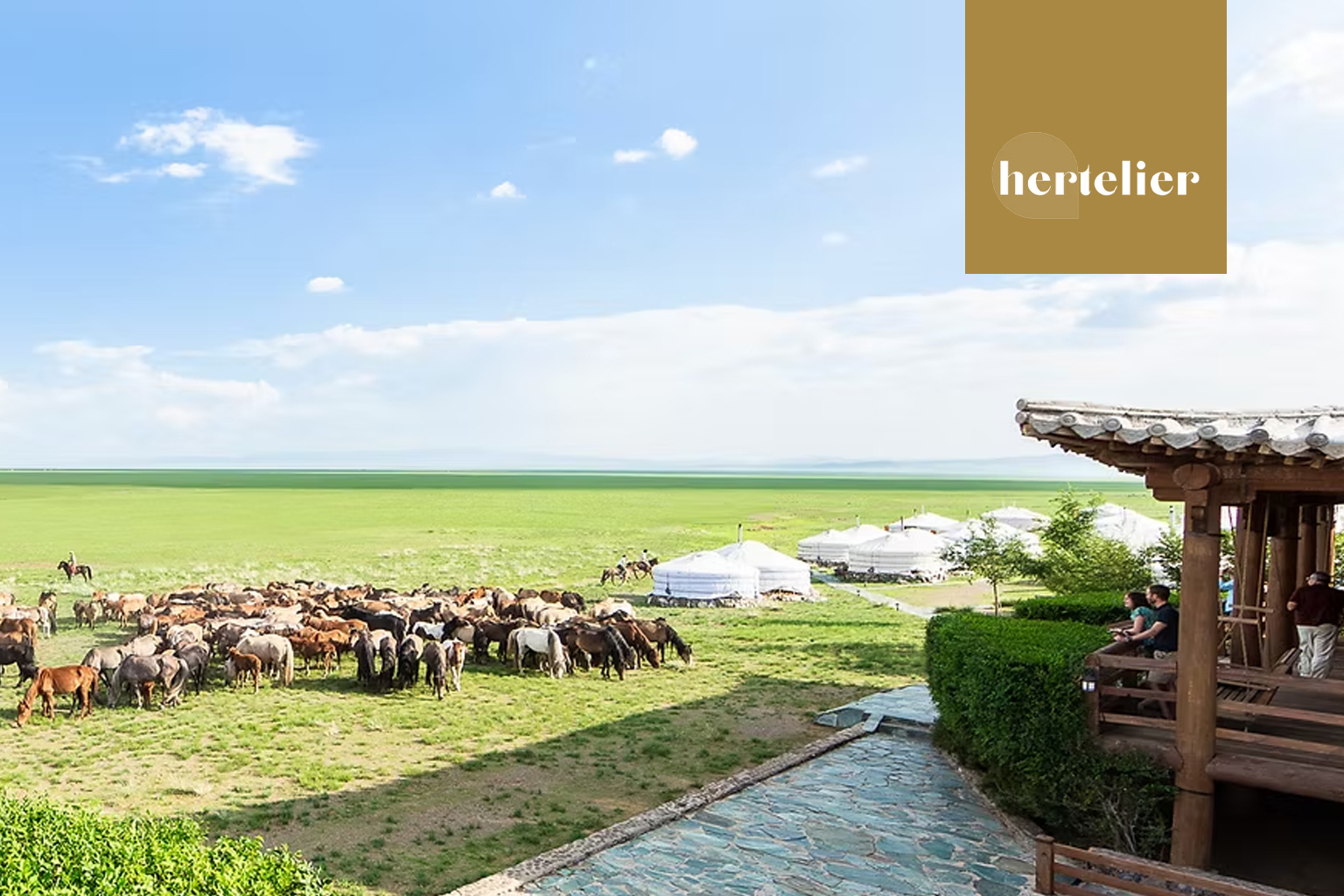 Eco-minded: Undraa Buyannemekh, President, Nomadic Expeditions & Three Camel Lodge, Mongolia
