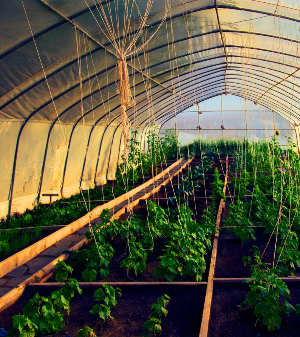 Environmental-Stewardship